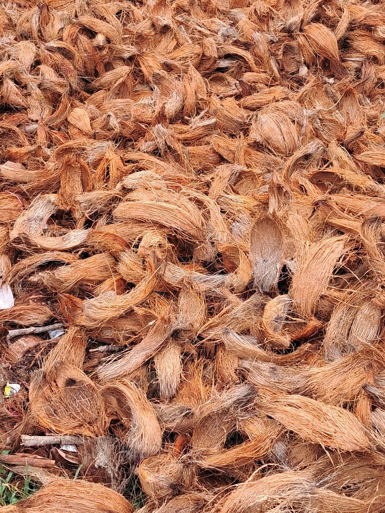 Como comprar fibra de coco a granel