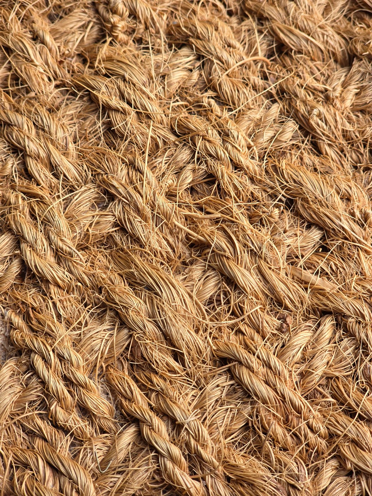 Fibra de coco natural enrolada — textura de corda de coir